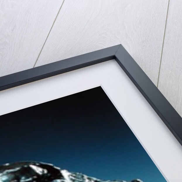 Giganti or, Head of a Bandit, 1885 by Camille Claudel