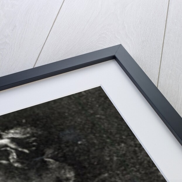 The Conscience or, The Eye Watching Cain by Auguste Joliet