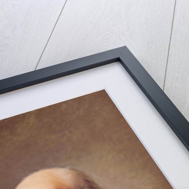 Portrait of Marshal Pierre Francois Charles Augereau by Johann Ernst Heinsius