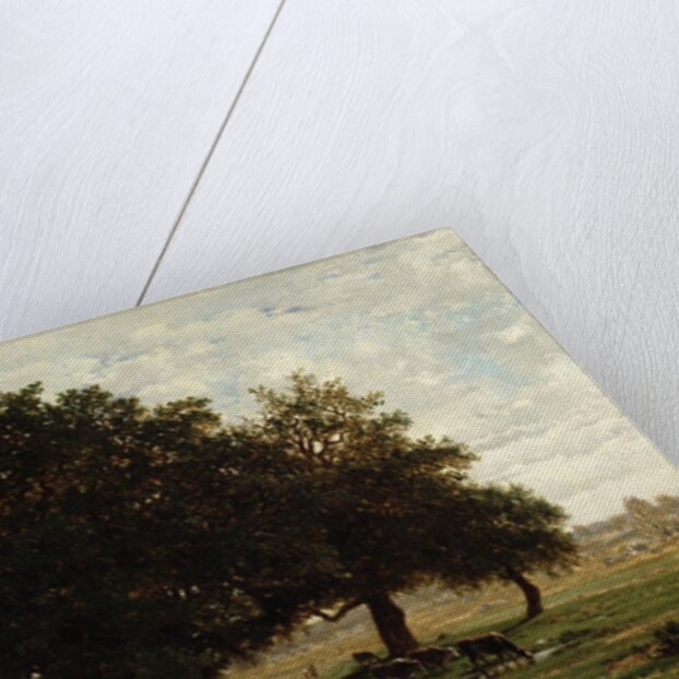 Holm Oaks, Apremont, 1850-52 by Pierre Etienne Theodore Rousseau