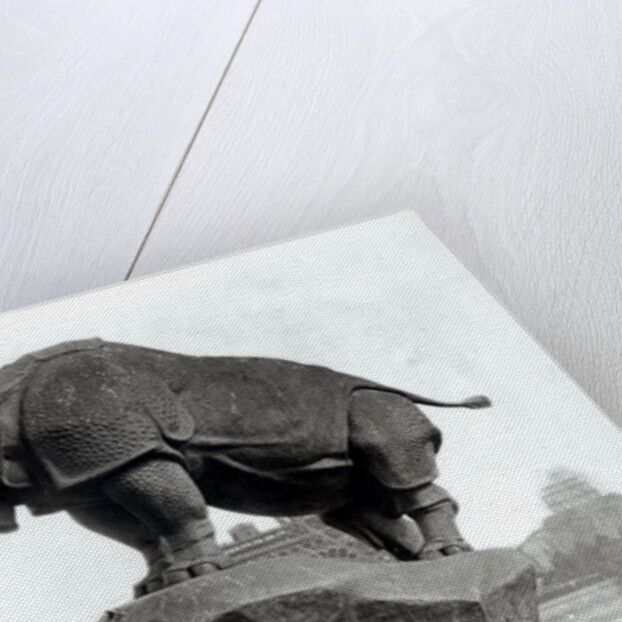 Rhinoceros, 1878 by Adolphe Giraudon