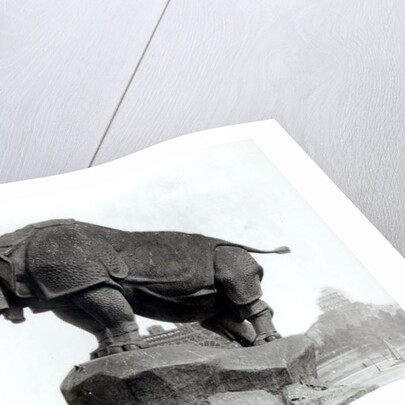 Rhinoceros, 1878 by Adolphe Giraudon