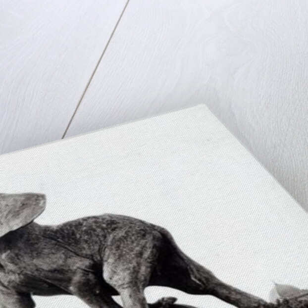 Young Elephant Caught in a Trap by Emmanuel Fremiet in front of the Trocadero Palace, constructed for the Universal Exposition, Paris, 1888 by Adolphe Giraudon