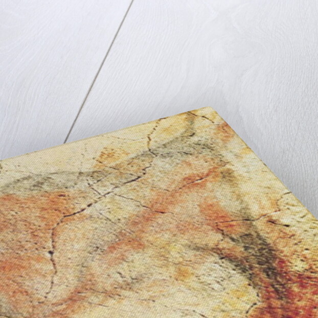 Bison by Prehistoric Prehistoric