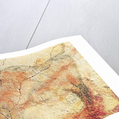 Bison by Prehistoric Prehistoric