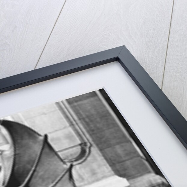 Chimaera from the St. Michel fountain, Paris, c.1860 by Adolphe Giraudon