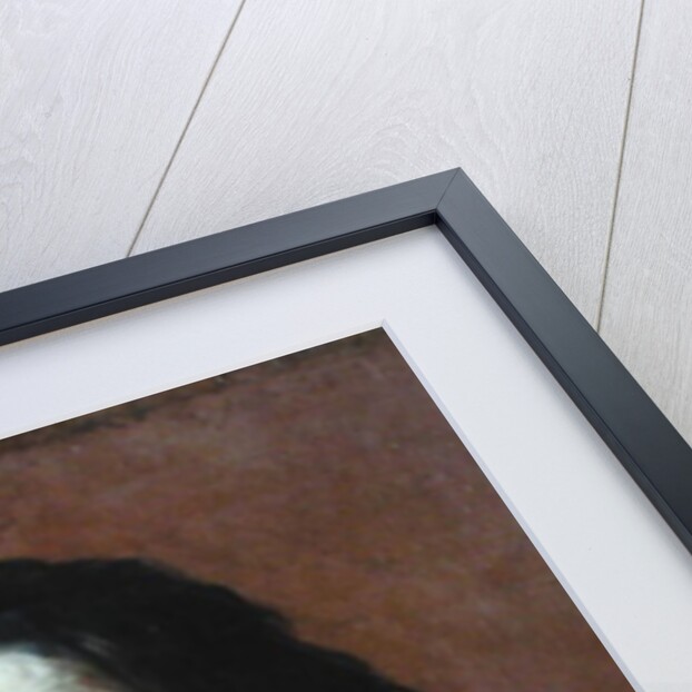 Henri de La Tour d'Auvergne 1665-68 by Charles Le Brun