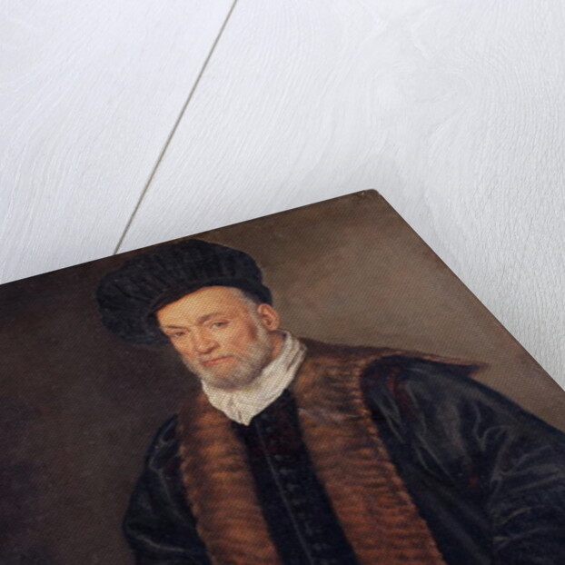 Portrait of a Doctor by Francesco Montemezzano