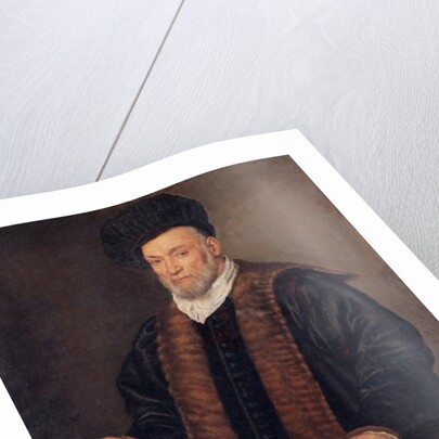 Portrait of a Doctor by Francesco Montemezzano