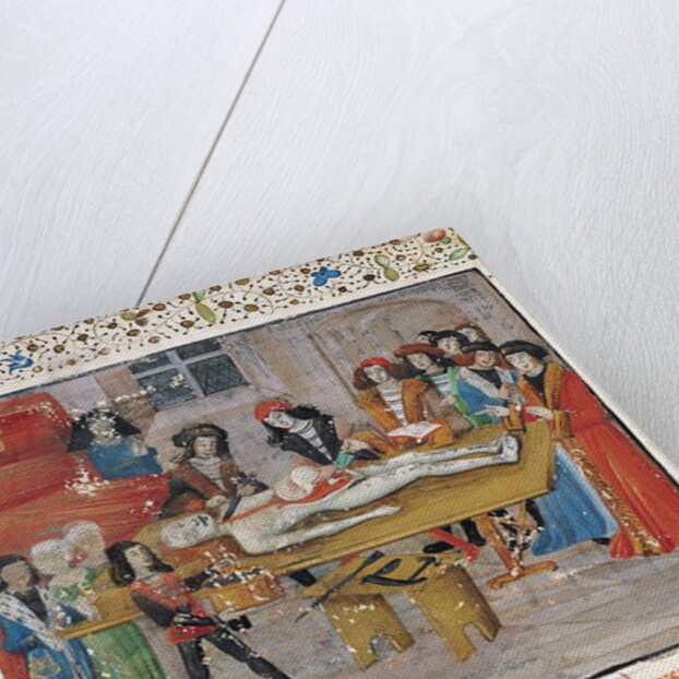 Dissection lesson at the Faculty of Medicine in Montpellier by French School