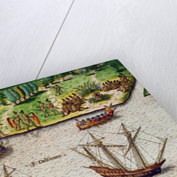 The Cape of Florida and the Dolphin River from 'Brevis Narratio' by Jacques (1533-88) (after) Le Moyne