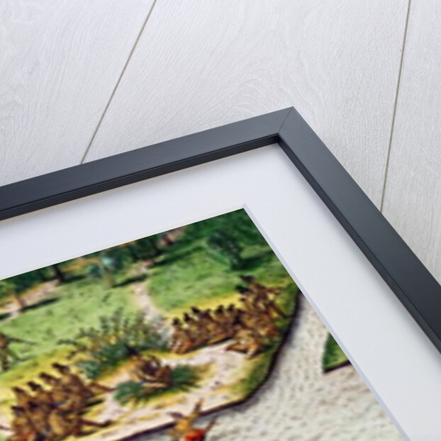 The Cape of Florida and the Dolphin River from 'Brevis Narratio' by Jacques (1533-88) (after) Le Moyne