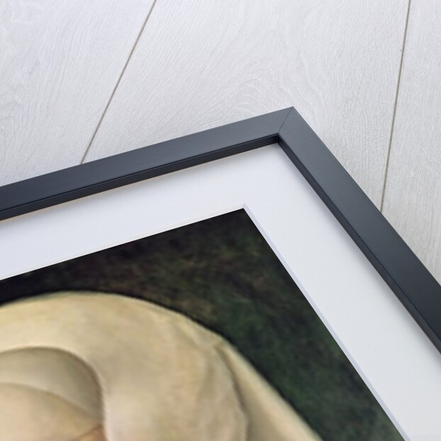 Marguerite de Habsbourg Duchess of Savoy by Bernard van Orley