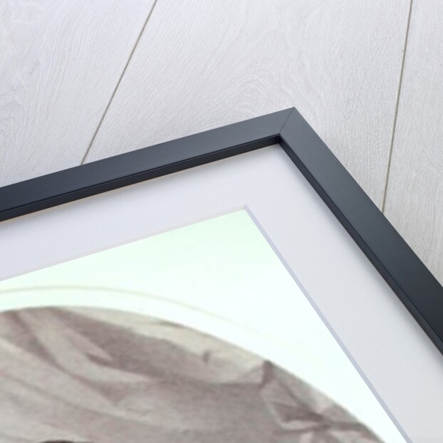 Samuel de Champlain 1854 by Louis Joseph Cesar Ducornet