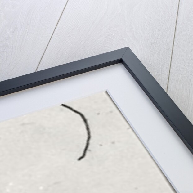 Pierre Louys 1895 by Henri de Toulouse-Lautrec