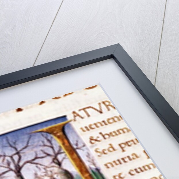 Historiated Initial 'N' depicting a man hewing trees, the 'Natural History' by Pliny the Elder by Italian School