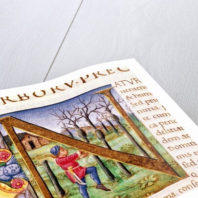 Historiated Initial 'N' depicting a man hewing trees, the 'Natural History' by Pliny the Elder by Italian School