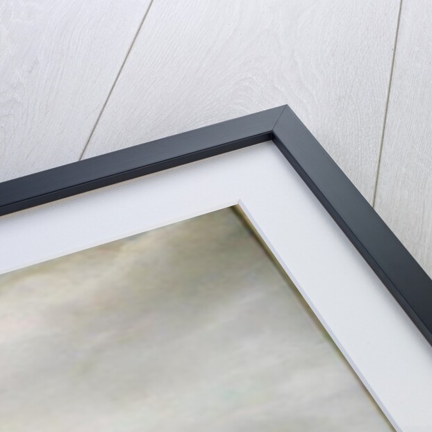 Brawl between Soldiers and Peasants by Dutch School