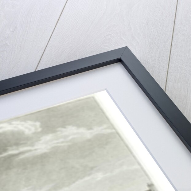 The Triumph of Voltaire, 11th July 1791 by Jean Louis II Prieur