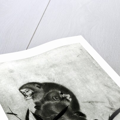 Monkeys by Sosen Mori
