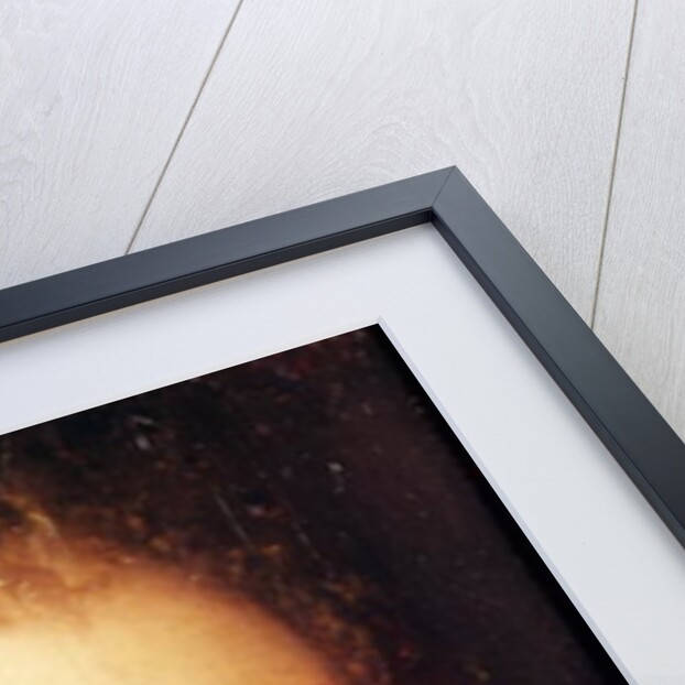 Portrait of a Woman by French School