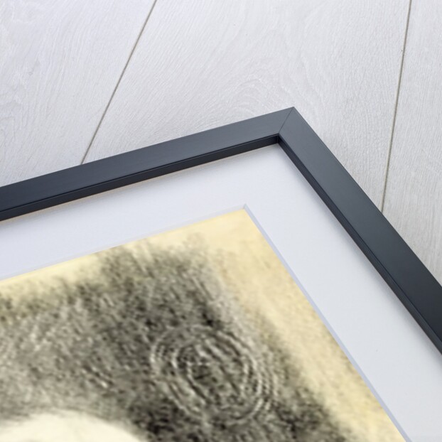 Erik Satie c.1886 by Paul Signac