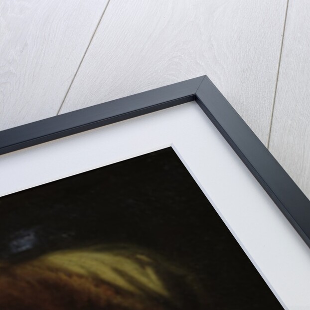 Portrait of Jean-Jacques Rousseau by French School