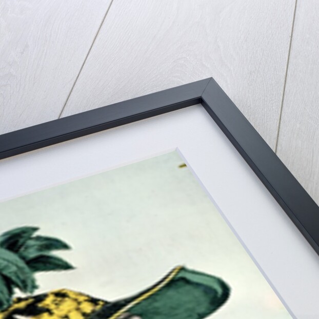 The Giant German Ogre by French School