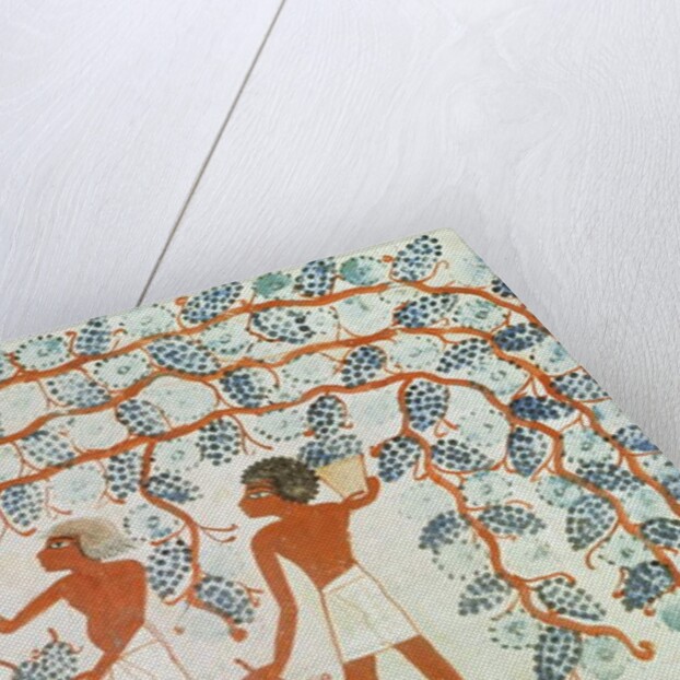 Picking grapes by Egyptian 18th Dynasty