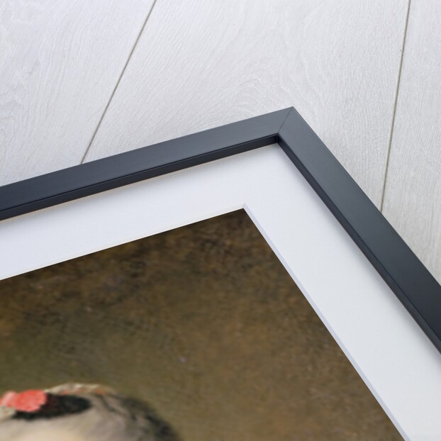 La Dauphine Marie-Josephe de Saxe attributed to Jean Marc Nattier or Jean Baptiste Perroneau by French School