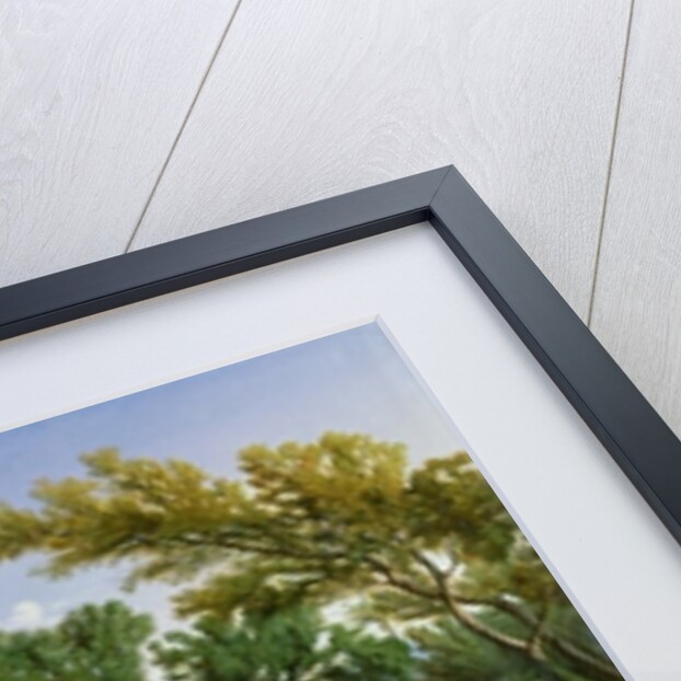 Outskirts of Valdemusa, Majorca, 1847 by Adolphe Paul Emile Balfourier