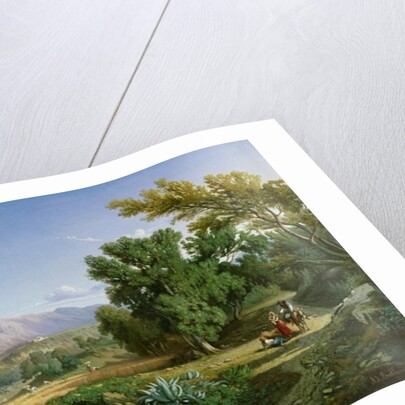 Outskirts of Valdemusa, Majorca, 1847 by Adolphe Paul Emile Balfourier