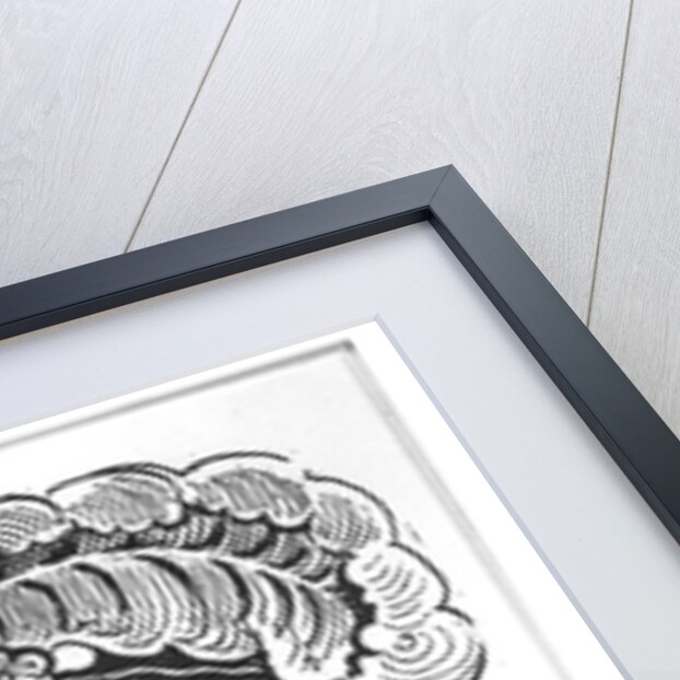 La Calavera de la Catrina, 1913 by Jose Guadalupe Posada