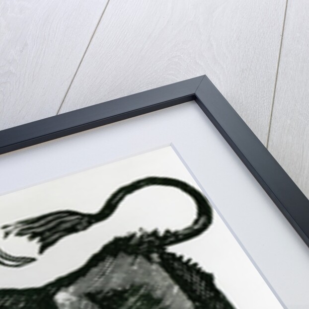 Don Chepito Torero by Jose Guadalupe Posada