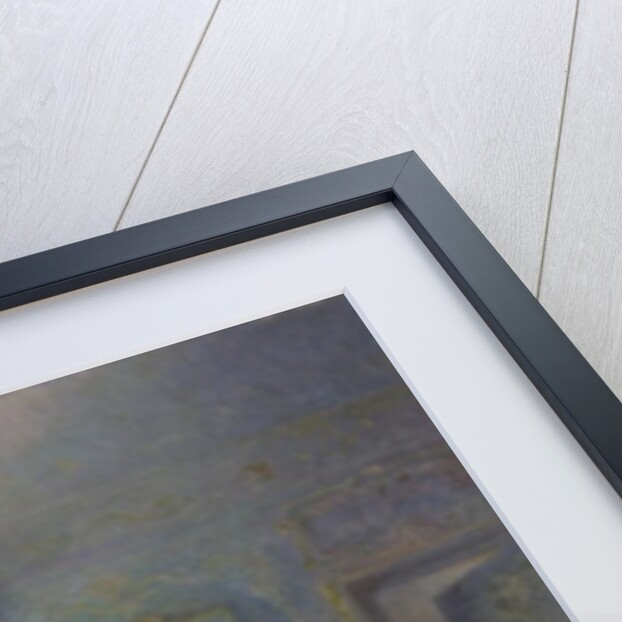 The Birth by Victor Lecomte