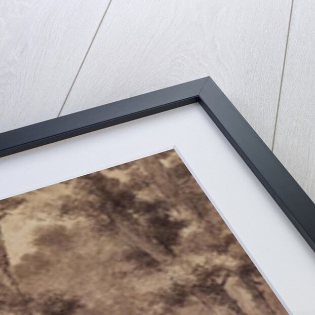 The Jardin des Tuileries in 1808 by Jean Pierre Norblin