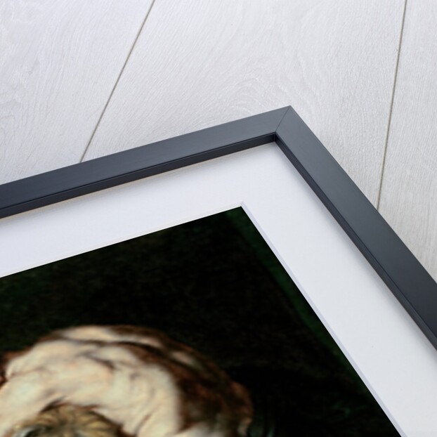 Heracles and the Nemea Lion, 17th century by Peter Paul Rubens