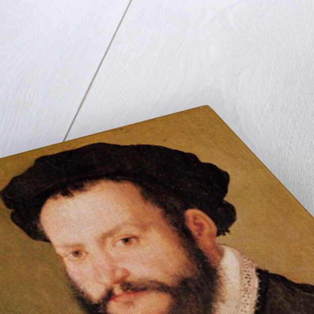 Portrait of a Man with Brown Hair, c.1560 by Corneille de Lyon