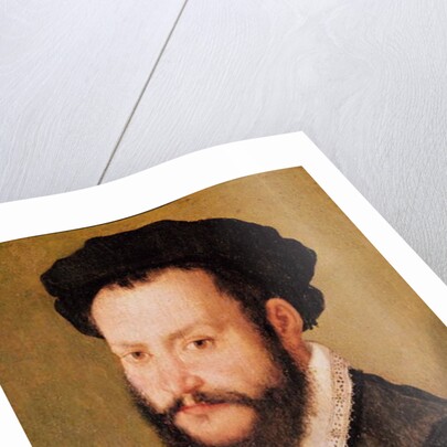 Portrait of a Man with Brown Hair, c.1560 by Corneille de Lyon