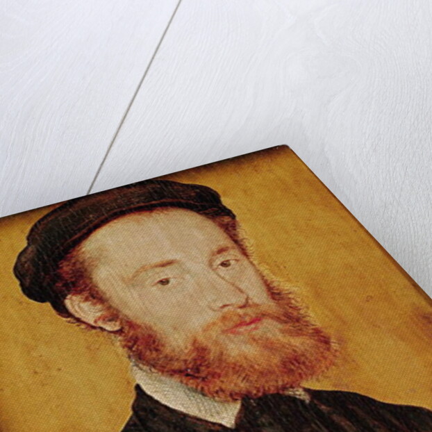 Portrait of a Man with Blonde Hair by Corneille de Lyon