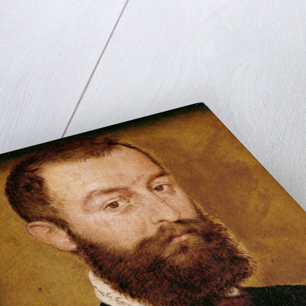 Portrait of a Man with a Beard or, Portrait of a Man with Brown Hair by Corneille de Lyon