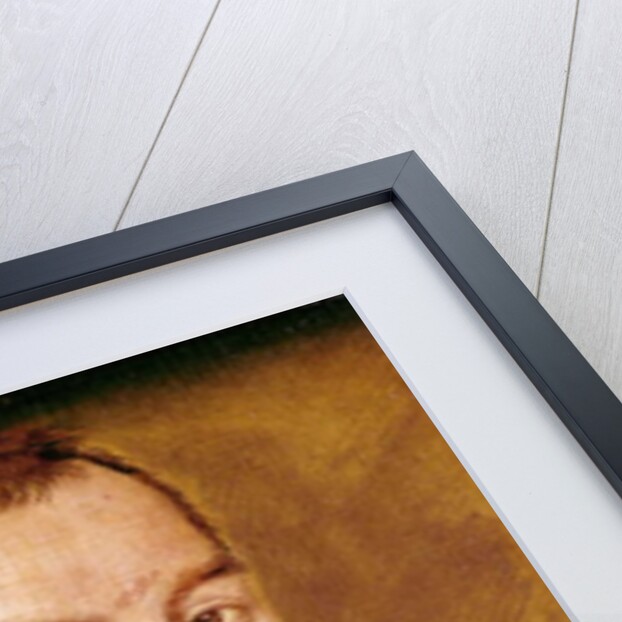 Portrait of a Man with a Beard or, Portrait of a Man with Brown Hair by Corneille de Lyon