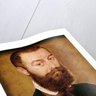 Portrait of a Man with a Beard or, Portrait of a Man with Brown Hair by Corneille de Lyon