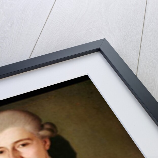 Portrait of a Gentleman with a Rose Buttonhole by Pietro Longhi