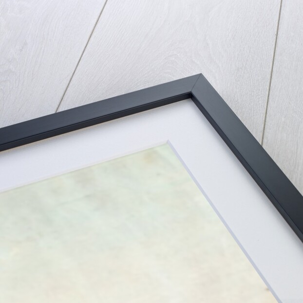 The Charles-Philippe, the first steamboat launched on the Seine, 20th August 1816 by Philibert Louis Debucourt