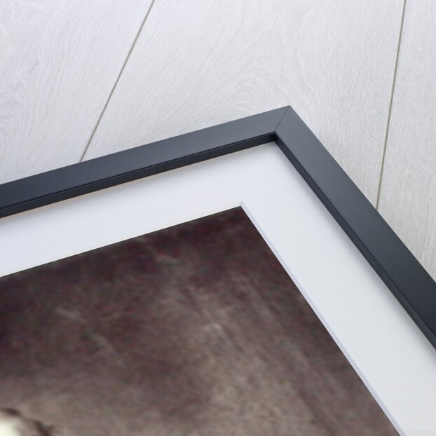 Armand Barbes in Prison, 1835 by Charles Joseph Travies de Villiers