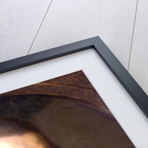 Portrait presumed to be Count Alessandro di Cagliostro 1778 by Le Gay