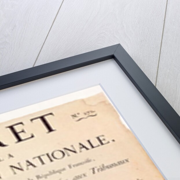 Decree of the National Convention, 24th December 1792 by French School