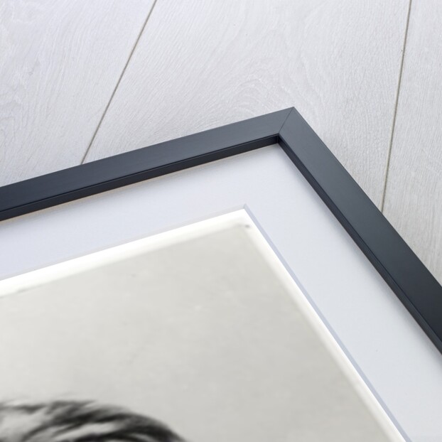 Portrait of Victor Hugo from 'Album du Rappel', engraved from a photograph by Edme Penauille 1869 by Charles Albert d'Arnoux Bertall