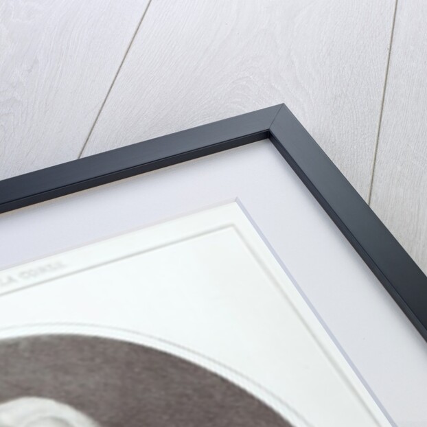 Pascal Paoli, 1872 by Novellini